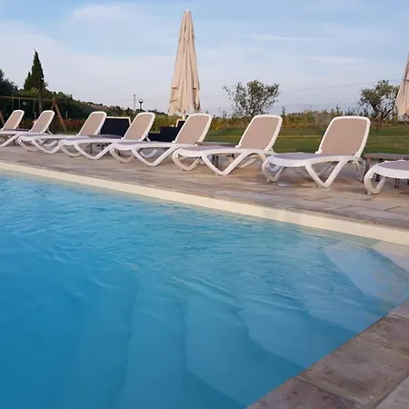 Bright In A With Swimming Pool Apartment